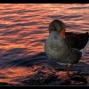 20131107_0080